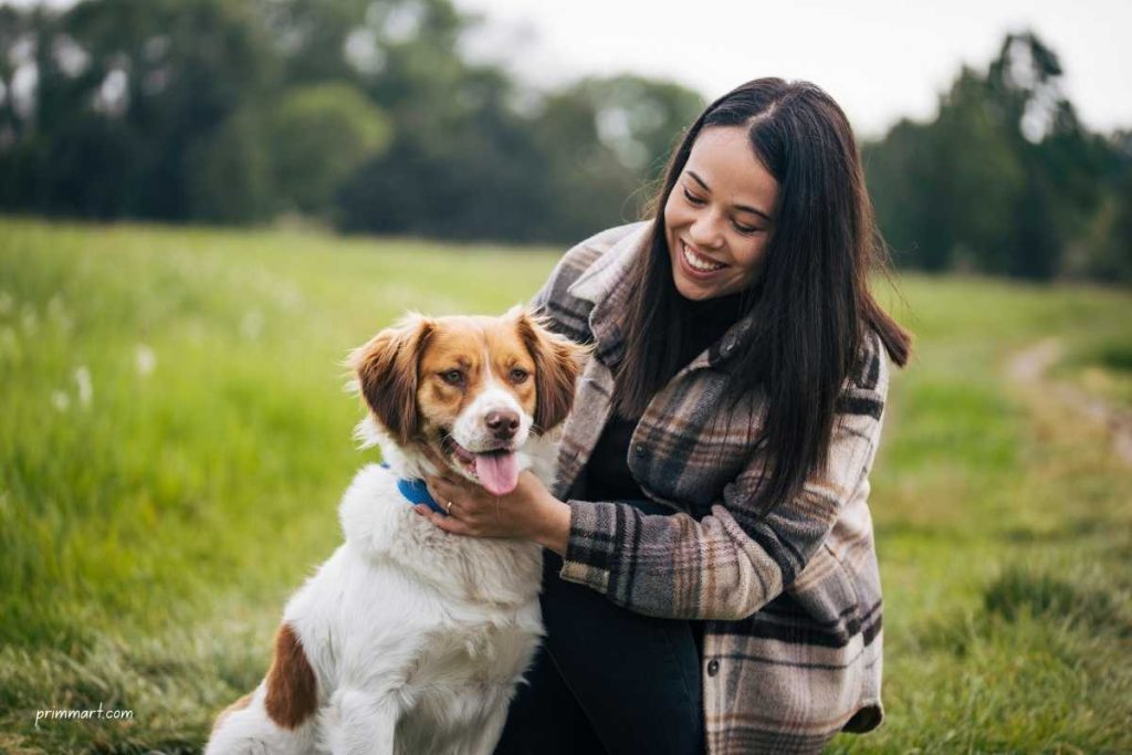 The New Dog Owner Checklist FI