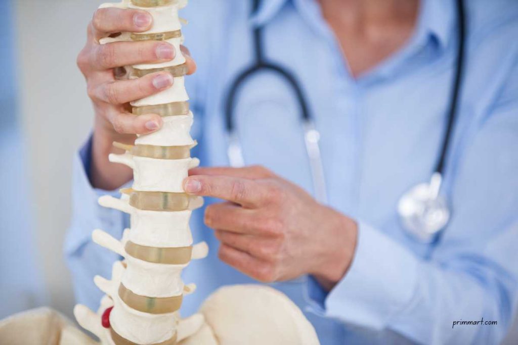 Conditions Treated by a Chiropractor FI