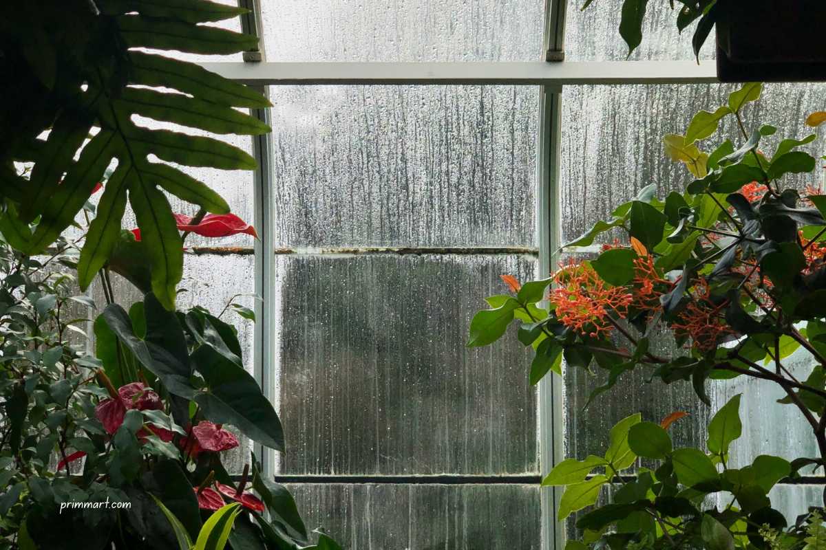 6 Ways to Protect Your Garden FI