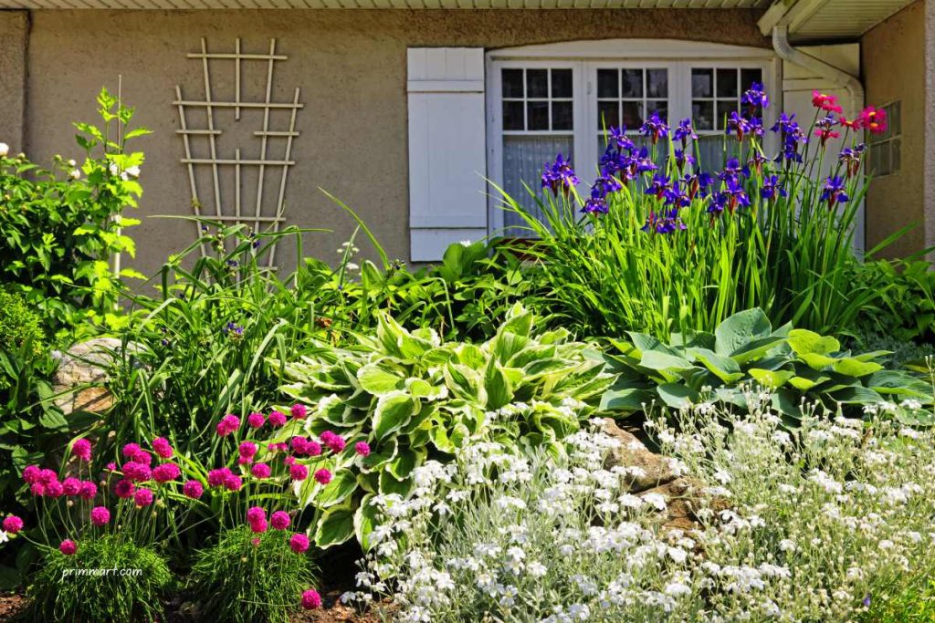 Intelligent Remodeling Ideas For Your New Garden