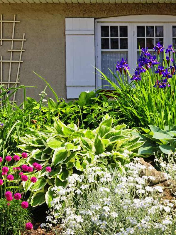 Intelligent Remodeling Ideas For Your New Garden