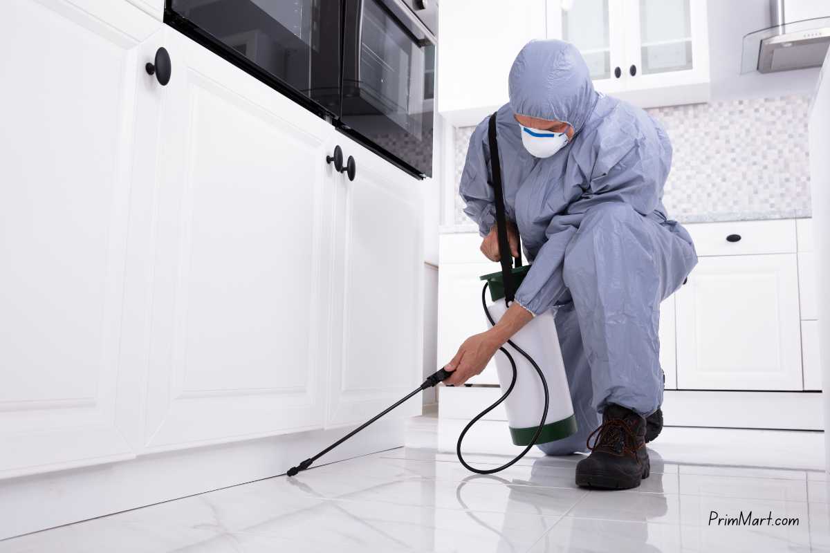 Opting for Professional Pest Control Service? Benefits of Pest Control