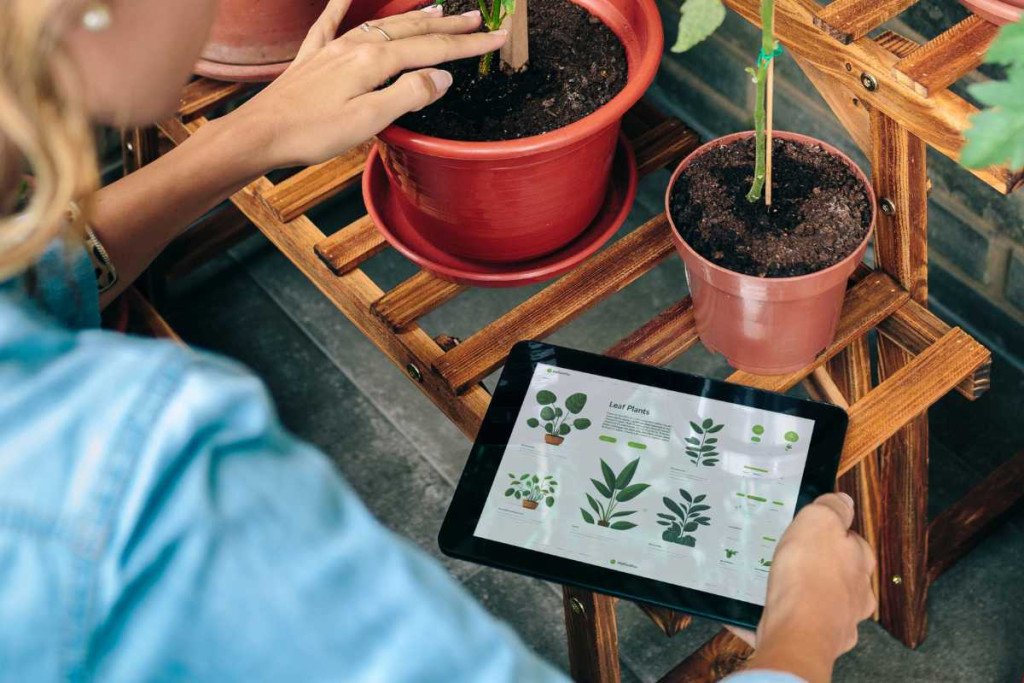 Top 5 Gardening Apps Recommended for Beginners