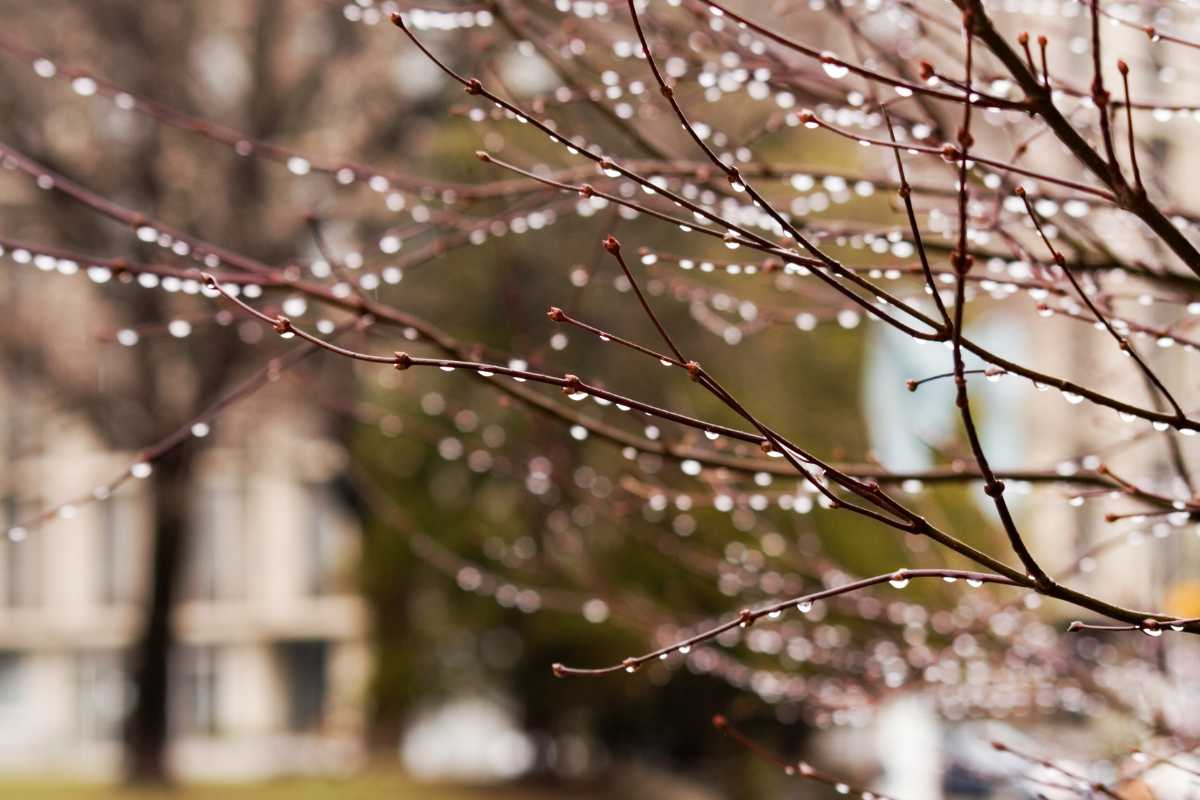 Splashing Through Seasons: Your Guide to Home Upkeep