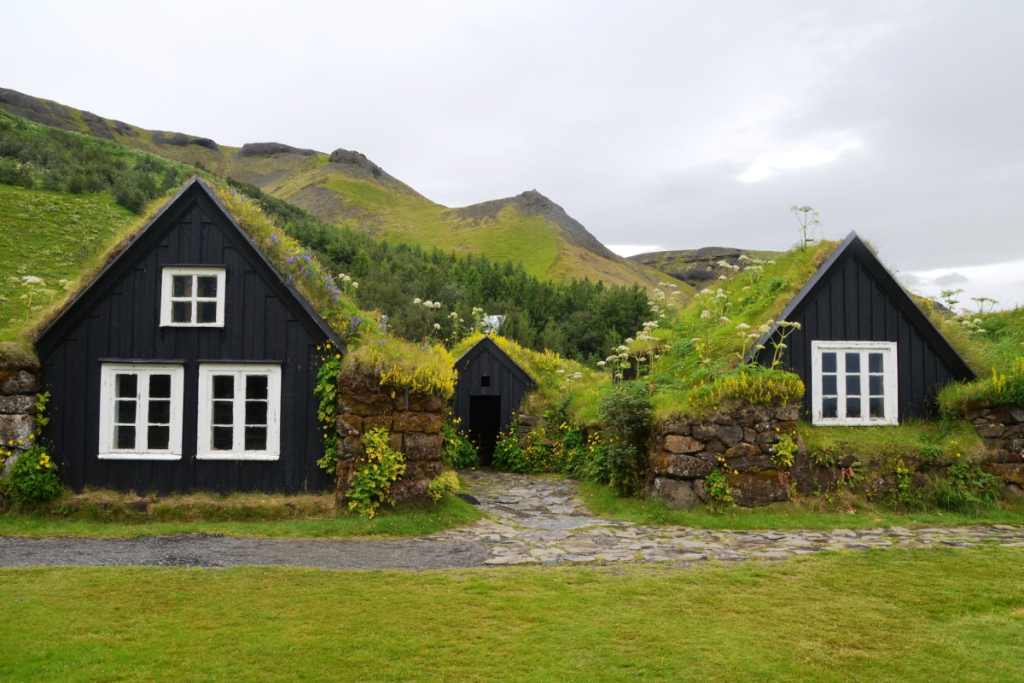 Aesthetic Transformations in Green Roof Replacement
