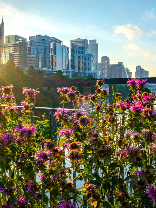 Great Reasons to Visit Texas