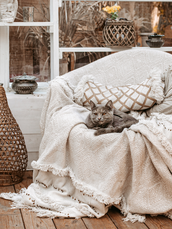 Transform Your Home with These Chic Home Decor Ideas in 2024