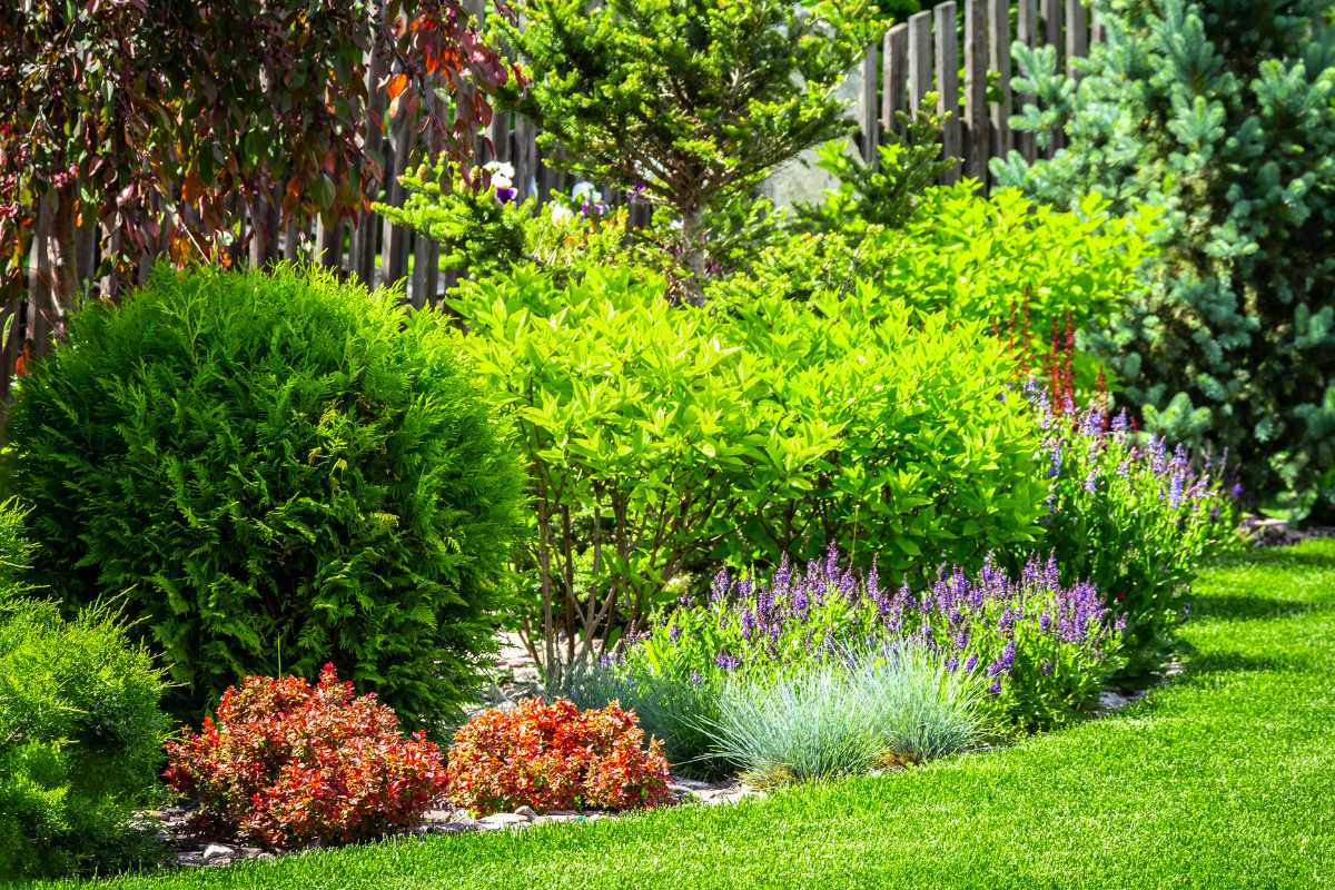 Transforming Your Spacious Yard/Land for the Summer Ahead