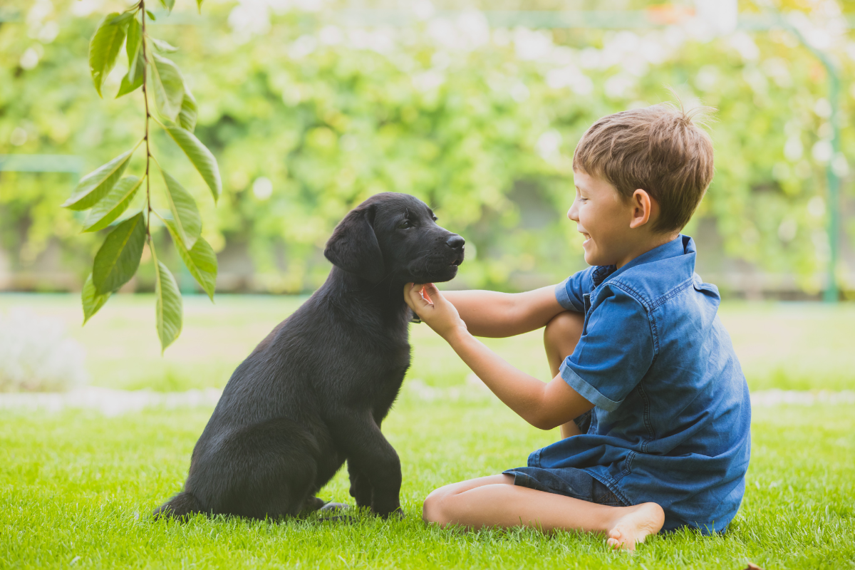 Safe Lawn Care Options for Pet and Child-Friendly Homes