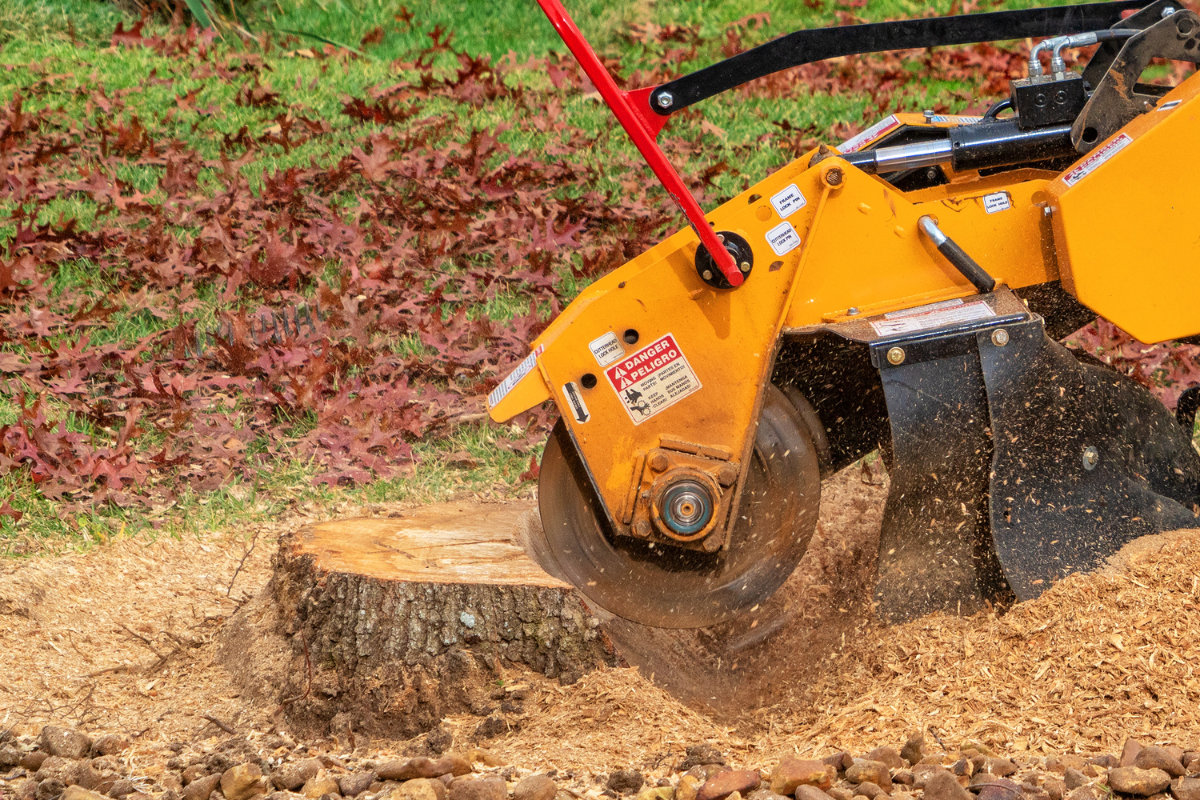 What Is The Function Of A Stump Grinder