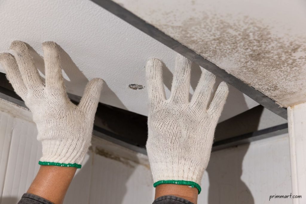 Prevention Techniques for Attic Leaks Understanding Tips and Tricks