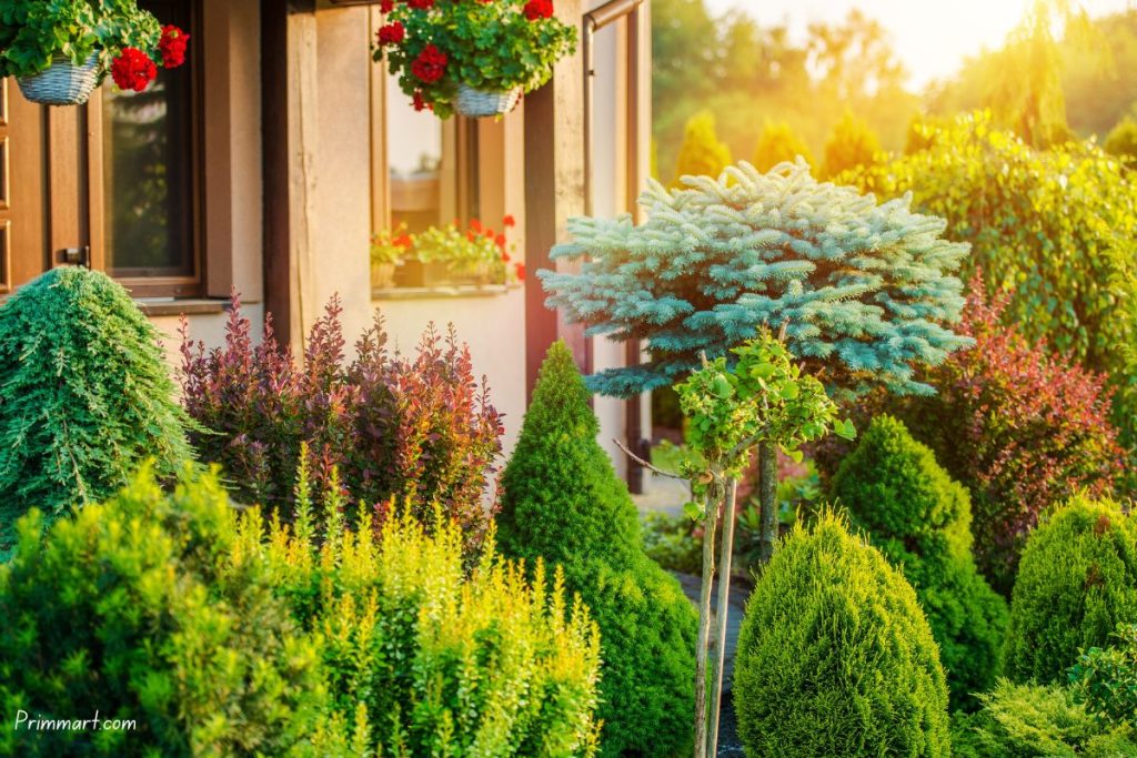 Revamping The Front Lawn with Vibrant Landscape Design Ideas