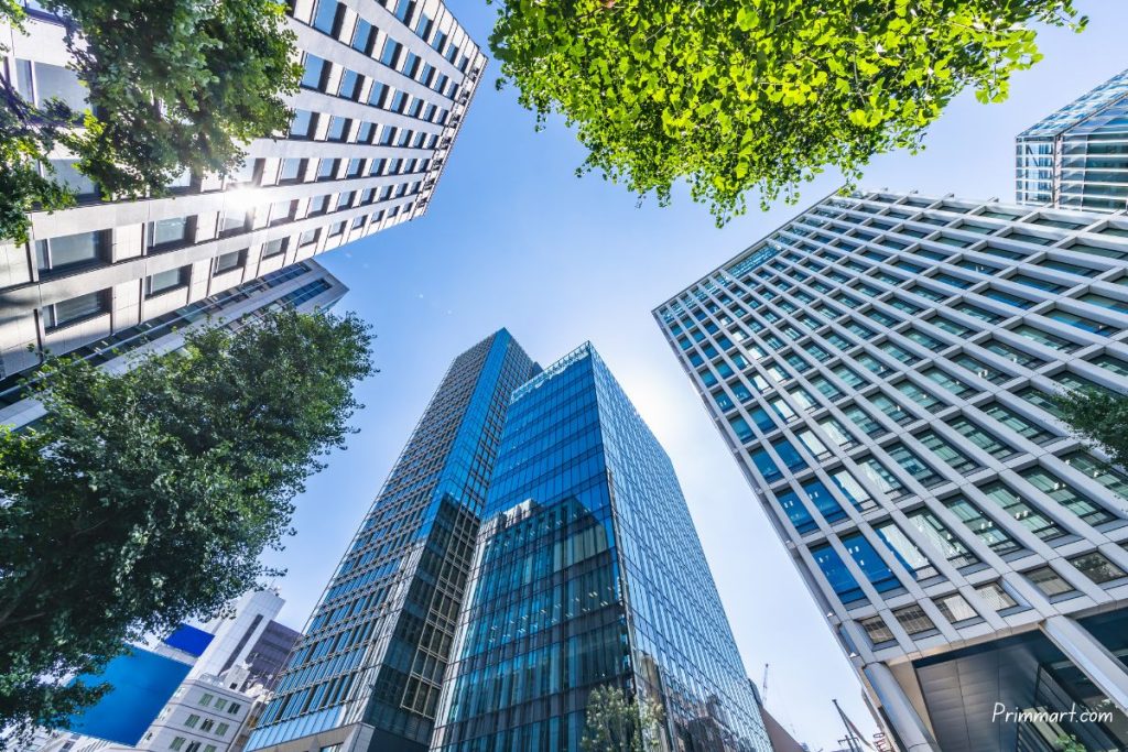 The Importance Of Having Greenery In Our Cities