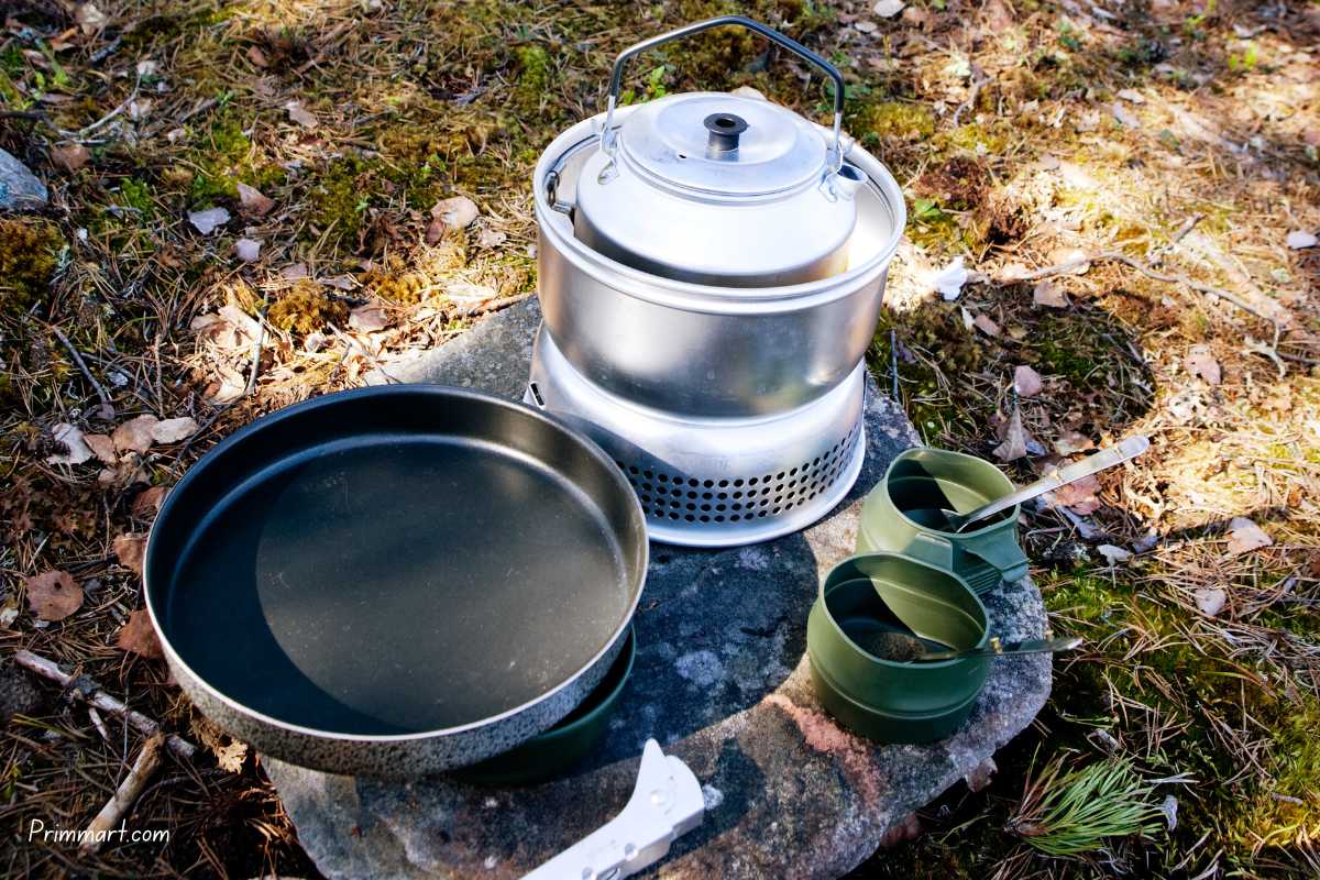Guide to Camping Wood Stoves: Mobility, Food Preparation, and Others!