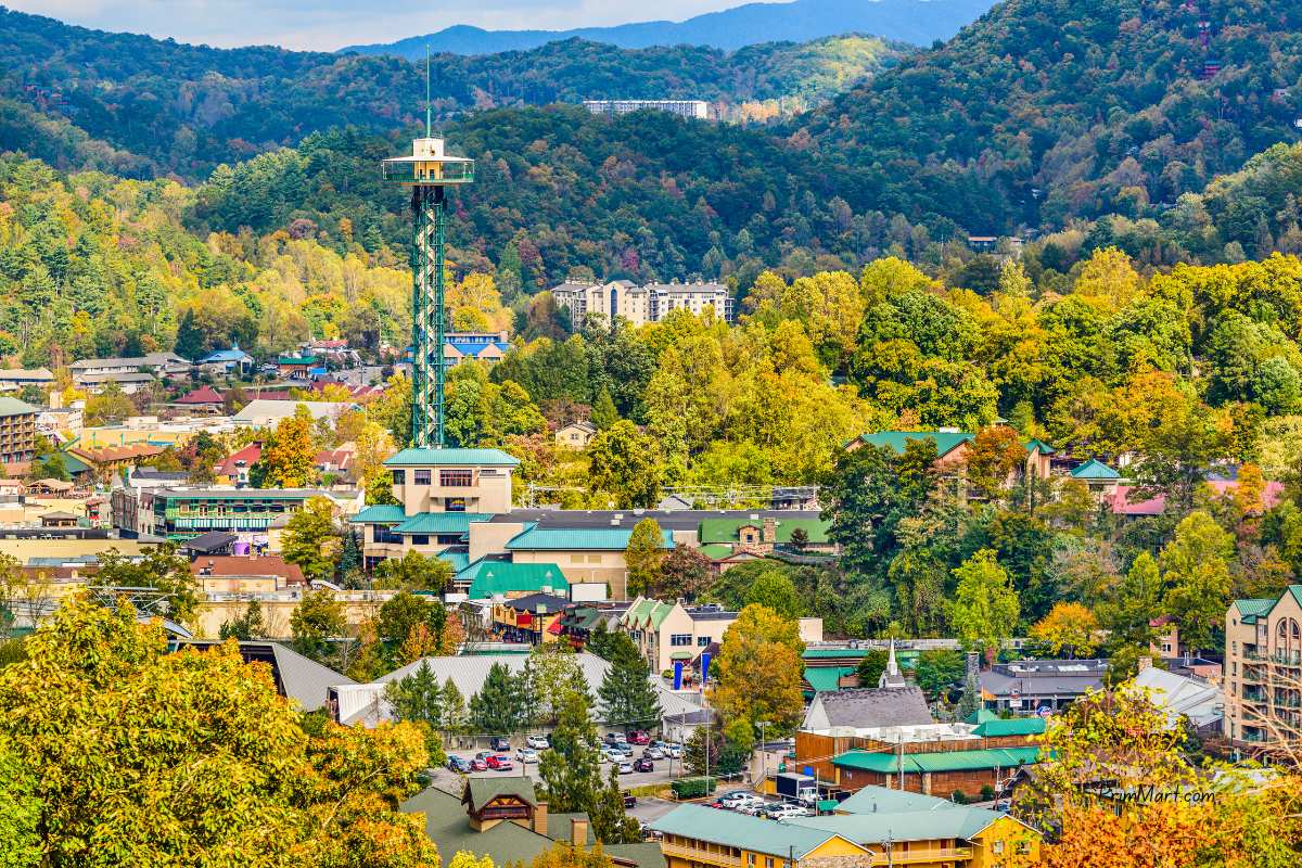 7 Activities to Do When in Gatlinburg