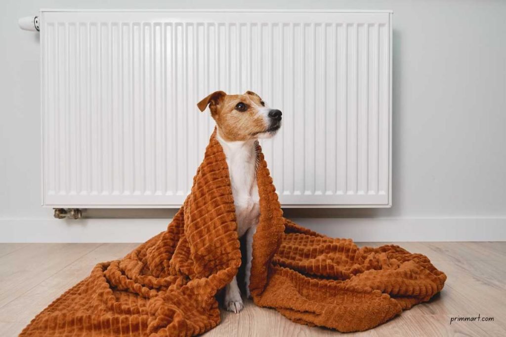 An Easy and Cheap Way to Keep Your Home Warm