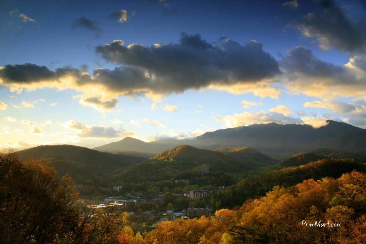 Reasons Why Gatlinburg is the Best Destination for a Family Vacation