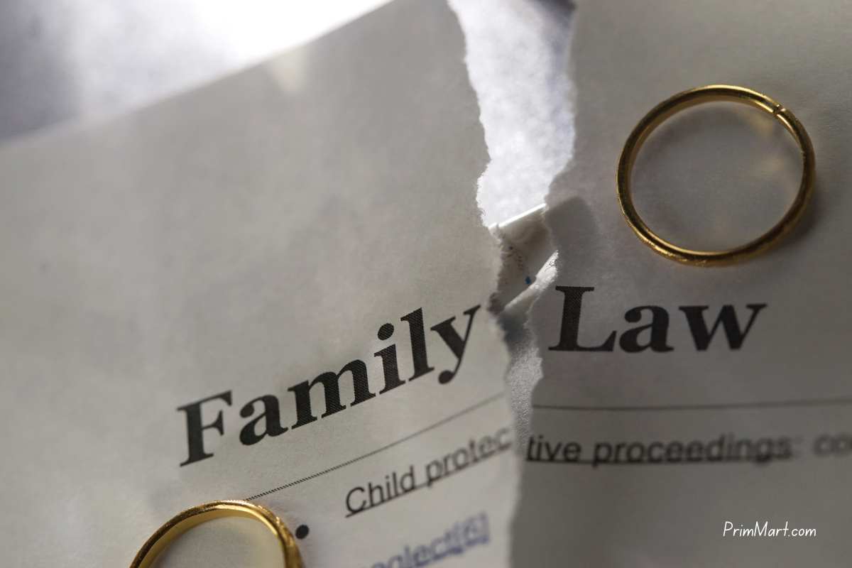 The Role of Expert Testimony In A Family Law Case