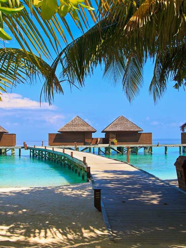 Maldives Anyone