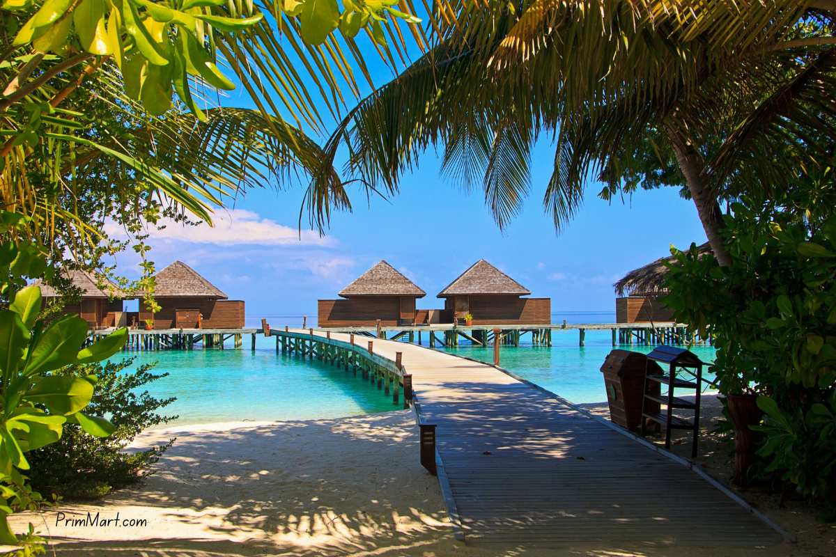 Maldives Anyone