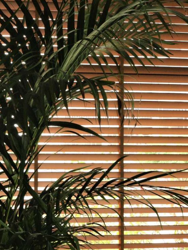 Window Blinds Vs Curtains - Why Blinds Are a Great Choice