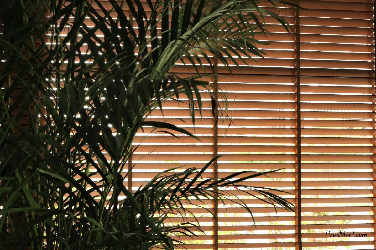 Window Blinds Vs Curtains - Why Blinds Are a Great Choice