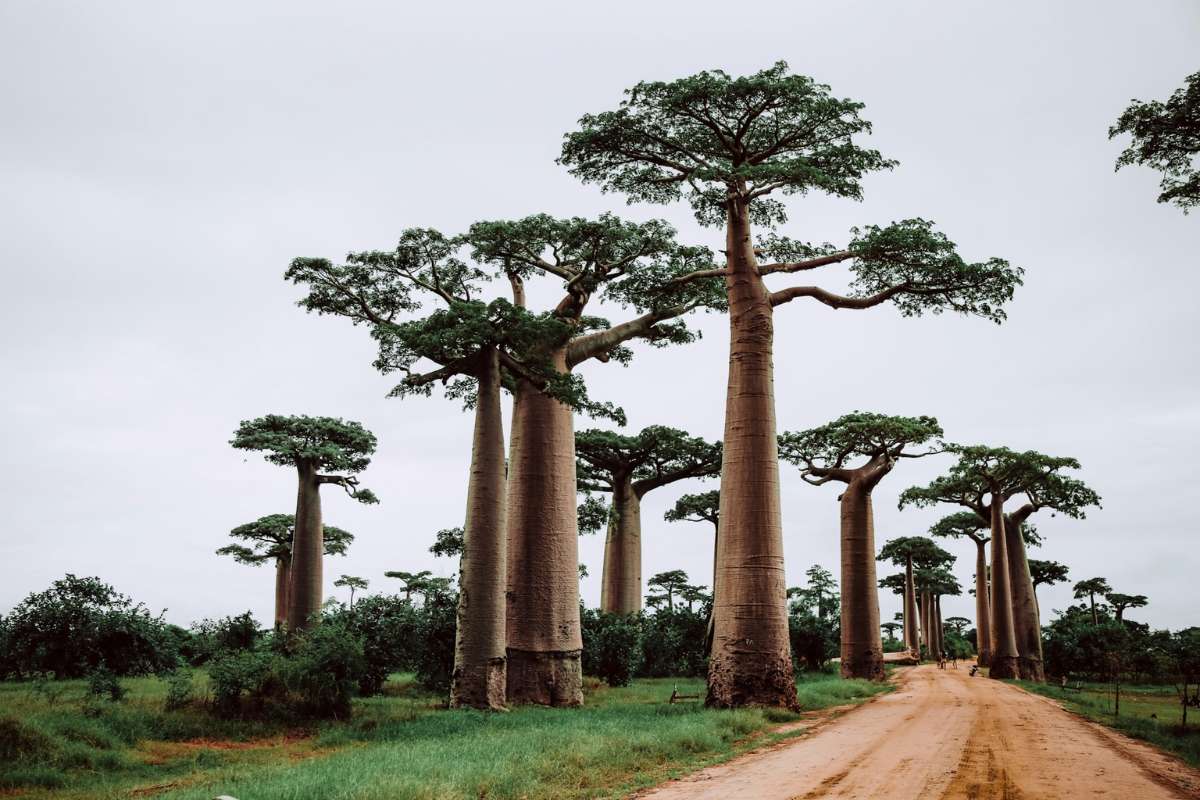 Unique Places in the World for Your Bucket List