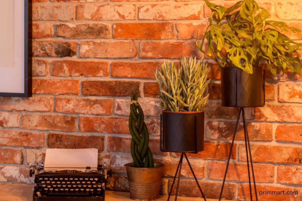 Innovative Wall Design Ideas That Will Make Your Home Stand Out