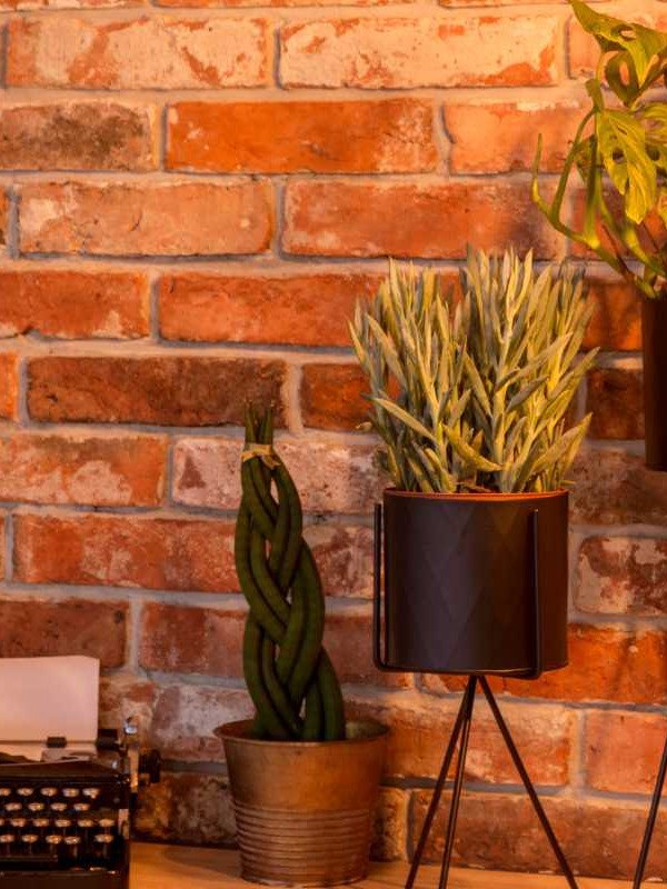 Innovative Wall Design Ideas That Will Make Your Home Stand Out