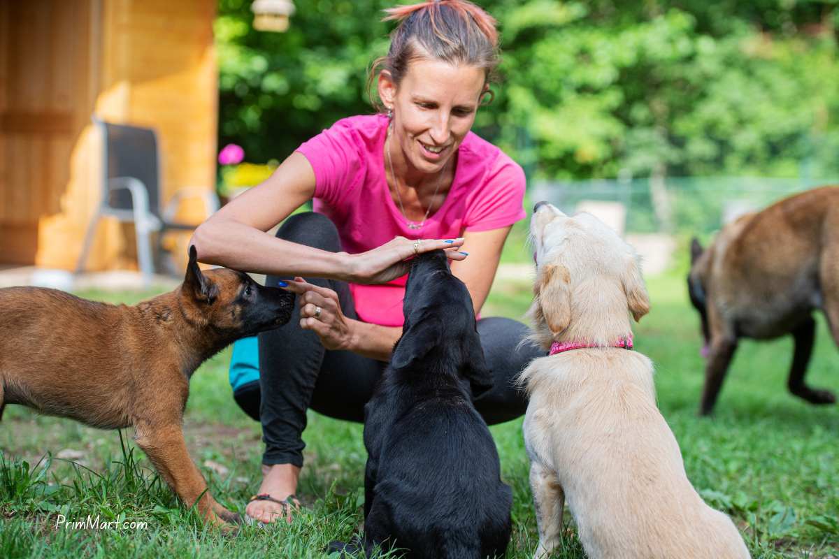 4 Tips to Make Your Dog More Social: How to Properly Socialize Your Puppy