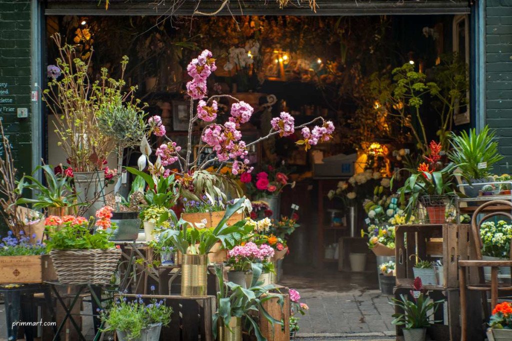 The Reasons Why Flowers Are Always The Perfect Gift Idea Here In Balmain Australia