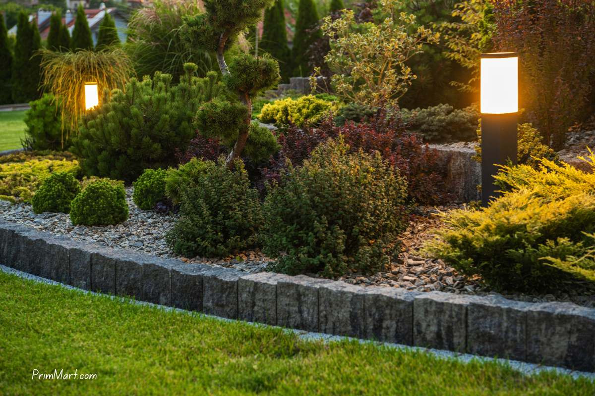 Outdoor Lighting Ideas for Bay Area Gardens