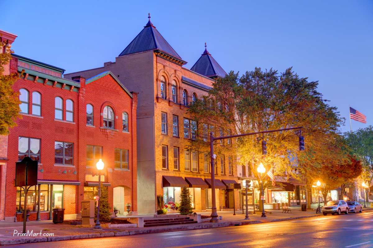 The Art of Urban Living: Adapting to Modern Spaces