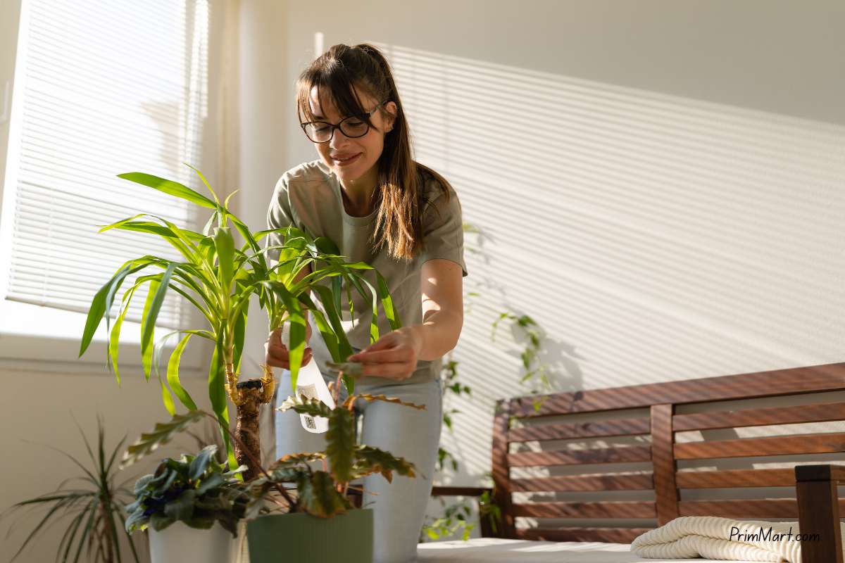 Elevating Your Well-Being with Modern Health and Aesthetic Treatments