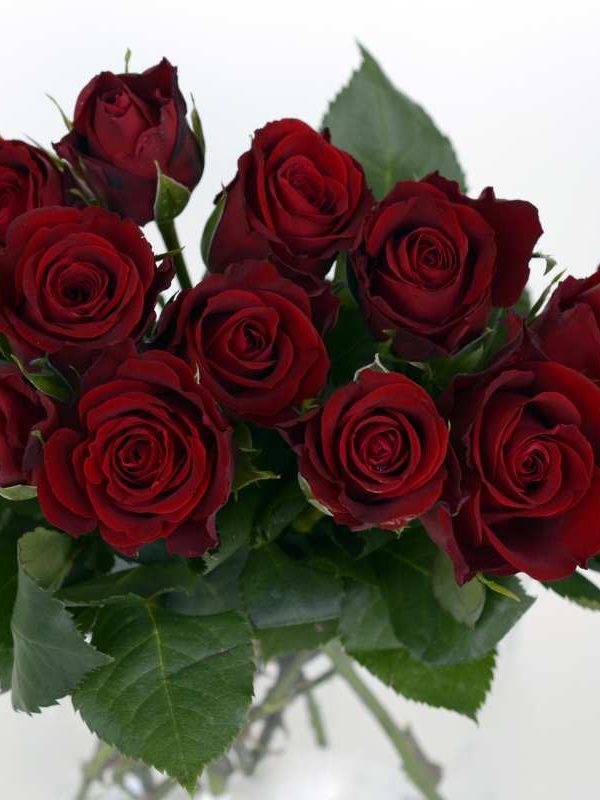 Red Rose Flower Bouquet: A Classic Expression of Love and Passion