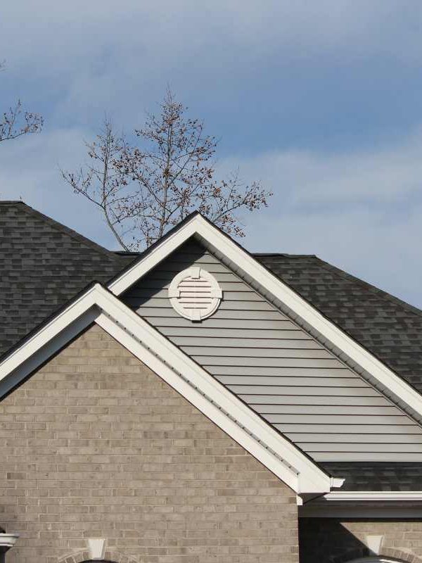 The Rise of Eco-Friendly Roofing: Sustainable Solutions for Modern Homes