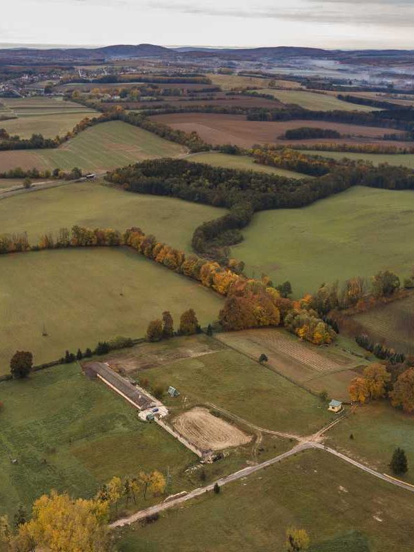 When the Government Takes Your Land: What Should You Do?