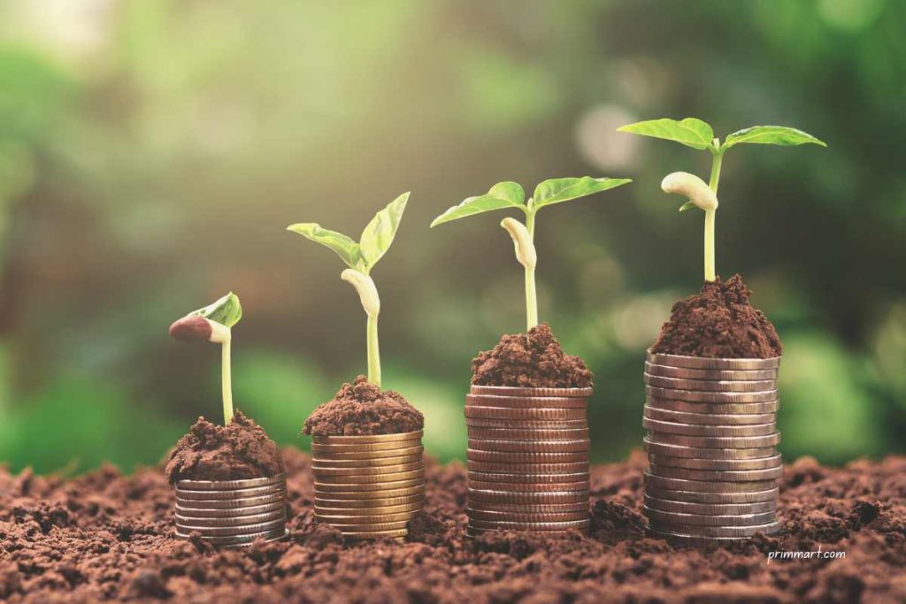 4 Money-Saving Organic Gardening Tips