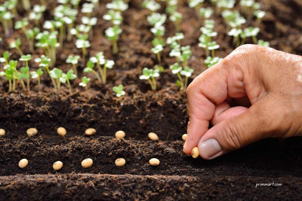 4 Money-Saving Organic Gardening Tips