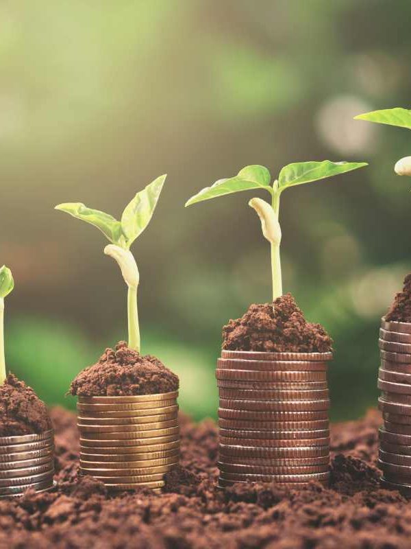 4 Money-Saving Organic Gardening Tips