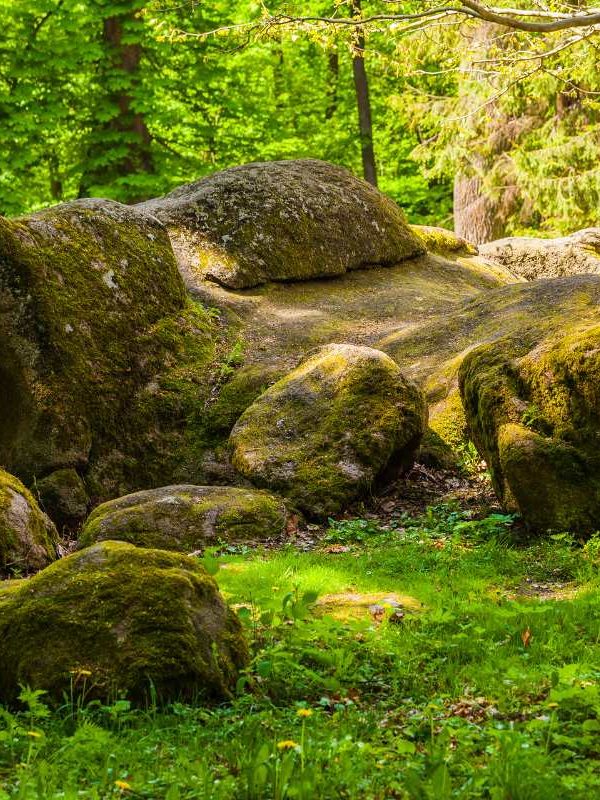 Landscaping with Boulders – Bold Design That Brings Nature to Life