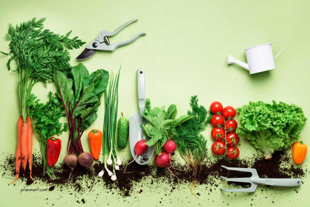 The Easy Way to Start a Vegetable Garden