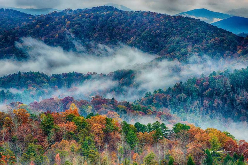 What to Pack, Plan, and Prioritize for a Trip to the Smokies