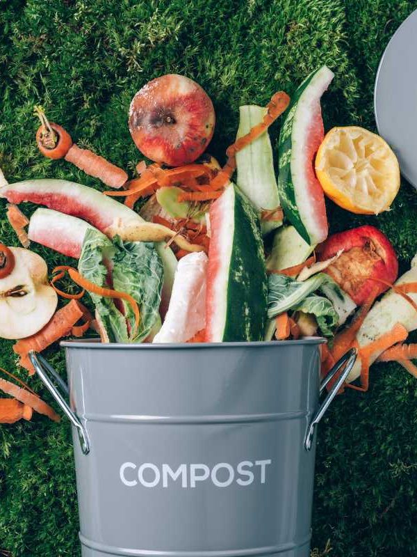 3 Basic Composting Tips for Your Organic Vegetable Garden