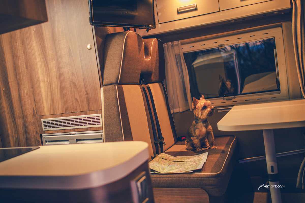 Hitting the Road with Your Furry Friend A Complete Guide to Pet-Friendly RV Camping