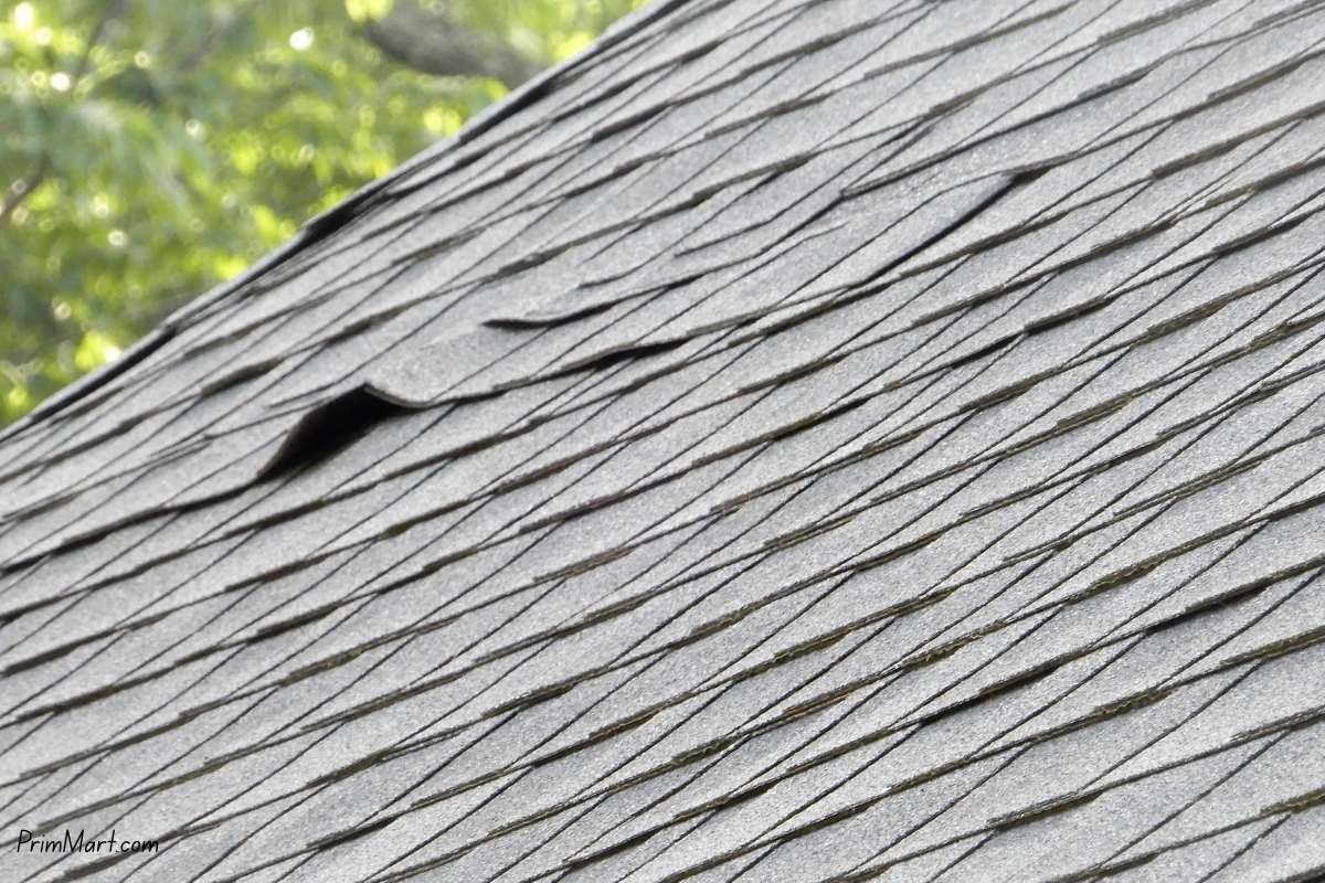 The Hidden Health Risks of Exterior Home Neglect and How to Prevent Them