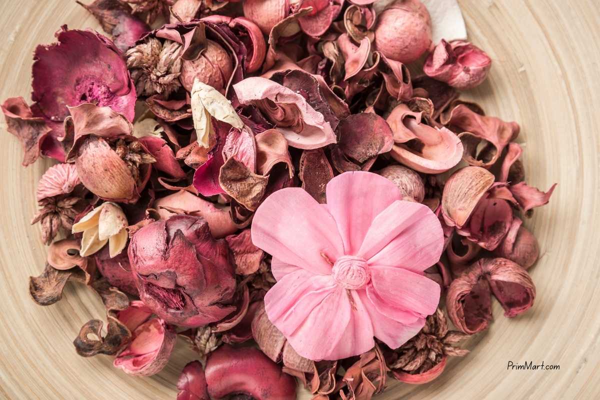 Make Your Own Fall Potpourri: 6 Inviting Scents for a Cozy Fall