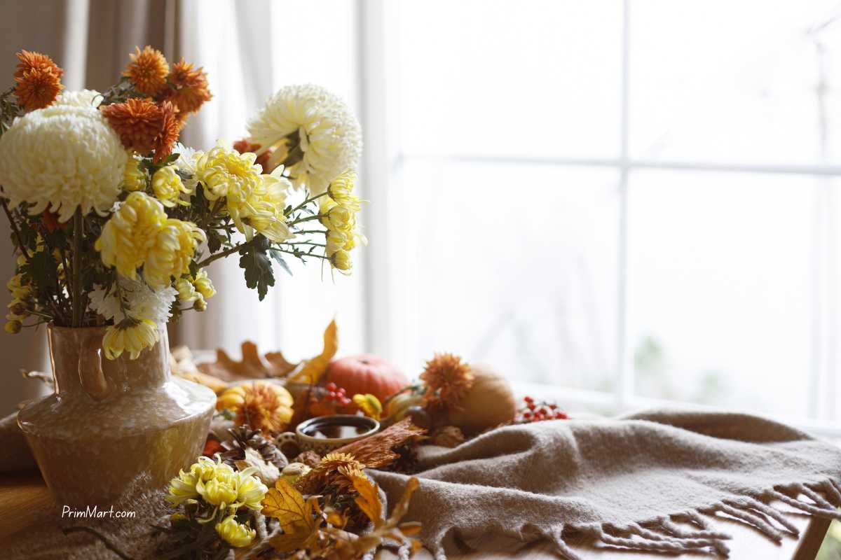 Budget-Friendly Fall Decorating Ideas for Every Home