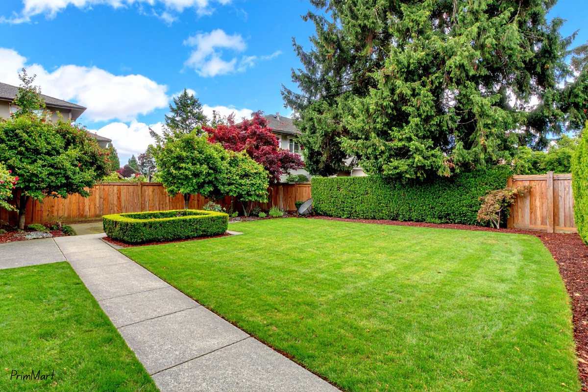 What to Know Before Buying Buffalo Roll-On Turf