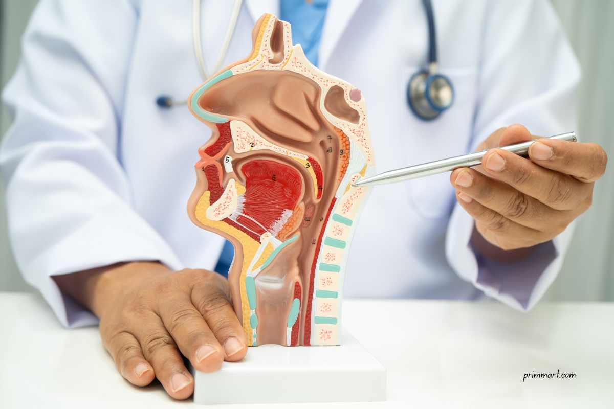8 Things You Should Know About Ear, Nose, and Throat Health